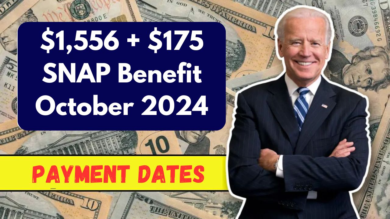 $1556 $175 snap benefit october