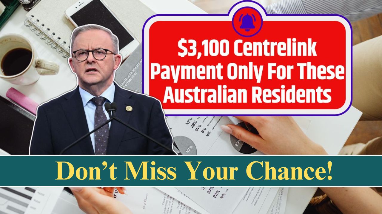 3100 centrelink payment