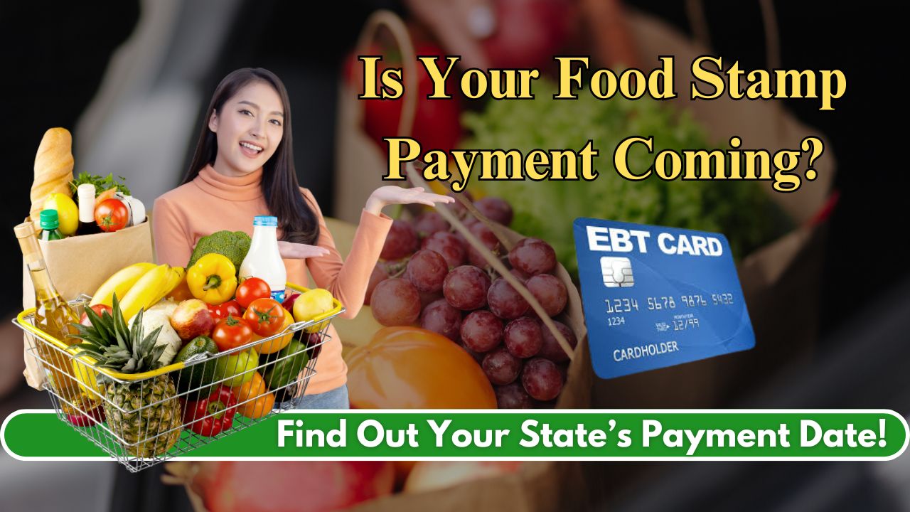 Food Stamp Payment Schedule